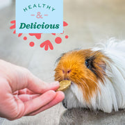 Oxbow Vitamin C Guinea Pig Supplement, High-Fiber Timothy Hay, 4.2 oz | Stabilized Vitamin C, High Fiber, Guinea Pig Vitamin C, Timothy Hay, Immune Health, Small Pet Supplies, Vet Recommended