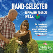Small Pet Select 2nd Cutting Perfect Blend Timothy Hay Pet Food for Rabbits, Guinea Pigs, Chinchillas and Other Small Animals, Premium Natural Hay Grown in the US, 12 LB