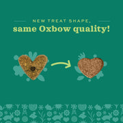 Oxbow Simple Rewards Guinea Pig & Rabbit Treats, Apple Banana, Baked, 3 oz | Timothy Hay, Bunny Treats, Hamster Treats, Chinchilla, Guinea Pig Snack, Rabbit Enrichment, Rabbit Accessories, Essentials