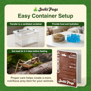Josh's Frogs 3/4" Banded Feeder Crickets for Pets (500 Count) | Long Storage Protein Food Crickets, Healthy Active Prey for Leopard Geckos, Bearded Dragons, Tree Frogs, Frogs, Birds, Bats