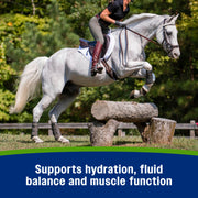 Farnam Apple Elite Horse Electrolytes Powder Supplement, 40 Day Supply | Apple Flavored,Replaces Vital Minerals, Encourages Hydration, Sugar-Free, Contains Sodium, Potassium, Calcium & Magnesium
