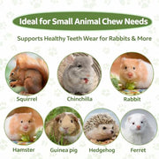 Sukh 240g Rabbit Chew Sticks - Natural Sweet Bamboo Chew for Small Animals | Sweet Bamboo Sticks, Teeth Grinding Treats & Chew Toys for Bunny, Hamster, Rat, Guinea Pig, Chinchilla, Gerbil, Pet Essential