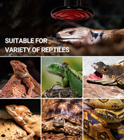 REPTI ZOO 100W Reptile Heat Lamp 2Pack Ceramic Heat Emitter Night Heat Lamp Bulbs Reptile Terrarium Heat lamp Tank Heat Bulb for Turtle Bearded Dragon Gecko Lizard Snake Chicken E26
