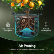 VIVOSUN 5-Pack 5 Gallon Plant Grow Bags Fabric Pots with Handles | 300G Thickened Nonwoven Fabric, Excellent Drainage, Healthy Root Growth, BPA-Free, Reusable