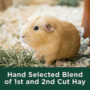 Kaytee All Natural Timothy Hay Plus Carrots for Guinea Pig & Rabbit | Digestive support. Guinea pig hay with carrots. Rabbit hay, long-strand, non GMO
