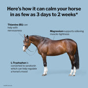 Formula 707 Calming Supplement for Horses, 5 lb, 40 Servings – Focus Aid