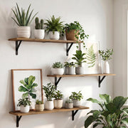 WOPITUES Long Wall Shelves 32″W x 8″D, Floating Book Shelves Max Load 65lbs | Wall Mounted Wood Shelf Storage, Metal Brackets, Bedroom/Living Room/Laundry Room/Kitchen/Pantry Decor, Brown, Set of 3
