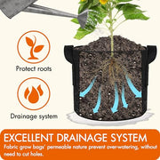 Gardzen 10-Pack 10 Gallon Grow Bags Fabric Pots with Heavy Duty Handles | Excellent Drainage & Breathability, Thickened 300G Nonwoven Fabric, BPA Free, Durable for Vegetable & Flower Growing