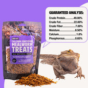 Fluker’s Grub Bag All Natural Calcium Fortified Mealworm Treats, Packed with Protein, Rich in Nutrients, A Reptile Favorite, 3 oz
