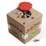 Josh's Frogs 3/4" Banded Feeder Crickets for Pets (500 Count) | Long Storage Protein Food Crickets, Healthy Active Prey for Leopard Geckos, Bearded Dragons, Tree Frogs, Frogs, Birds, Bats
