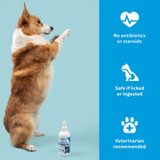 Vetericyn Plus Dog Wound Care Spray, Lick-Safe Wound & Skin Care, 3 oz | Cleans cuts, scrapes, bites & post-surgical sites; no sting; no antibiotics or steroids; lick-safe & safe for all animals