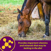 Farnam Horse Health Red Cell, Liquid Vitamin-Iron-Mineral Supplement for Horses, Helps Fill Important Nutritional Gaps in Horse's Diet, 1 Gallon, 128 Oz., 64-Day Supply