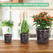 Bluepro Clear Nursery Pots with Drainage Holes, 3.5/4/5 Inch, 36-Pack | Clear PET, 12 Each of 3 Sizes, Root and Moisture Visibility, Flexible, Reusable, Indoor Use, Propagation and Seed Starting