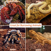 Riare 2 Pack Natural Coconut Fiber Substrate, Coco Coir Reptile Bedding | Coconut Husk Reptile Substrate for Tortoises, Hermit Crabs, Snakes, Bearded Dragon, Geckos, Reptile Enclosure/Terrarium Setup