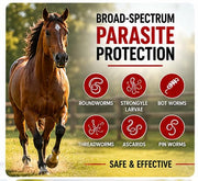 Ivermectin Horse Paste 1.87% – Apple Flavored Oral Horse – 6.08g Tube Treats Horses Up to 1,250 lbs [Pack-3]