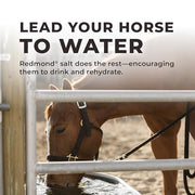 Daily Red Crushed Loose Minerals | Mineral Salt + Electrolyte Supplement for Horses (25LB Refill Bag)