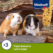 Vitakraft Crunch Sticks Guinea Pig Treat Fruit & Honey Flavor - 2 Sticks | Real Dried Fruit, Sweet Honey Coating, Natural Wood Center, Encourages Foraging Chewing, 2 Count Pack