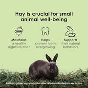 Kaytee Timothy Hay, High Fiber for Rabbits, Guinea Pigs, 12 Pounds | Supports digestive health. Hand-selected rabbit hay. Guinea pig hay, chinchilla hay, pesticide free