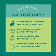 Oxbow Orchard Hay, Rabbit & Guinea Pig Hay, Hand-Sorted, De-Dusted, 40 oz | Orchard Grass Hay, Bunny Hay For Rabbits, Guinea Pigs, Bunnies and Chinchillas, Made in USA