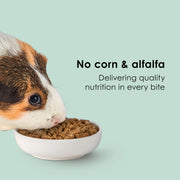 Kaytee Timothy Complete Guinea Pig Food with Timothy Hay, 9.5 Pounds | Supports digestion. Pelleted food for guinea pigs. guinea pig pellets, vitamin C, probiotics