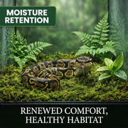 Sukh Sphagnum Moss for Reptiles - Green Terrarium Moss Substrate, 5oz | Habitat Bedding for Gecko, Snake, Turtle, Frog, Bearded Dragon, Jumping Spider, Chameleon, Enclosure & Tank Accessories Decor