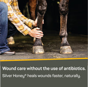 Silver Honey Rapid Wound Repair First Aid Spray Gel, 8 fl oz | Manuka Honey, MicroSilver BG, Fast & Natural Healing, Touch-Free Application, Multispecies Versatility, Antibiotic-Free