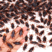 Riomeira Premium Fake Cockroaches, Realistic Lifelike Faux Roaches | Pretty Realistic Fake Roaches, Great Way to Play a Prank, Creepy Halloween Project, Tricking People, Kid Playing, 15PCS