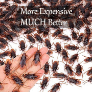 Riomeira Premium Fake Cockroaches, Realistic Lifelike Faux Roaches | Pretty Realistic Fake Roaches, Great Way to Play a Prank, Creepy Halloween Project, Tricking People, Kid Playing, 15PCS