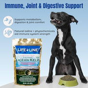 Life Line Organic Ocean Kelp Supplement for Dogs, Cats, Horses & Livestock | Natural Source of Iodine for Skin, Shiny Coat & Immune Support | Helps Reduce Tartar, Shedding & Aids Digestion – 1.5 lb