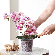 TRUEDAYS Orchid Pot, 4 Pack 5 Inch Plant Pot with Drainage | Clear Orchid Pots with Drainage Holes for Repotting, Sturdy Plastic Plant Pot for Plants, Ideal for Healthy Root Growth
