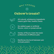 Oxbow Simple Rewards Guinea Pig & Rabbit Treats, Apple Banana, Baked, 3 oz | Timothy Hay, Bunny Treats, Hamster Treats, Chinchilla, Guinea Pig Snack, Rabbit Enrichment, Rabbit Accessories, Essentials