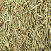 Kaytee Wafer Cut Timothy Hay for Rabbit & Guinea Pigs, 60 Ounce | Less mess. Rabbit hay peels in layers. High fiber, guinea pig food