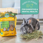 Oxbow Orchard Hay, Rabbit & Guinea Pig Hay, Hand-Sorted, De-Dusted, 40 oz | Orchard Grass Hay, Bunny Hay For Rabbits, Guinea Pigs, Bunnies and Chinchillas, Made in USA