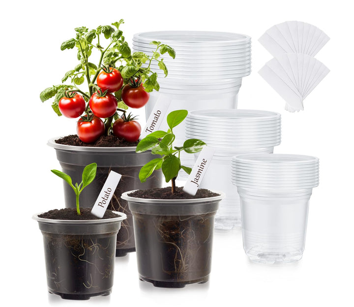 30 Pack Clear Nursery Plant Pots, 3.5/4/5 In with Drainage Holes, 20 Labels | High Transparency (Clear View of Root Growth), Variety Pack, Good Drainage, 20 Pack Easy-ID Plant Labels