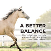 Daily Red Crushed Loose Minerals | Mineral Salt + Electrolyte Supplement for Horses (25LB Refill Bag)