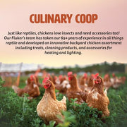 Fluker's Culinary Coop Premium Chicken Treats, Dried Soldier Worms, Packed with Protein and Calcium, 100% Natural Rich Grubs for Chicken, Backyard Birds, and Reptiles, 16 oz