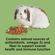 Kaytee Fiesta Rabbit Food, Supports Dental Health and Digestion | Fun at feeding time. Small animal food with bunny enrichment. Shapes, textures, fruits and veggies