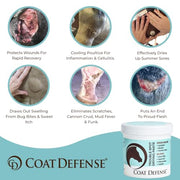 COAT DEFENSE Trouble Spot Drying Paste for Horses - Natural Equine Wound Care That Provides Safe & Effective Relief from Scratches, Sweet Itch, Summer Sores, Proud Flesh, Mud Fever, Girth Rot (10 Oz)