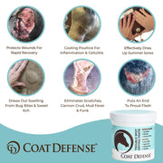 COAT DEFENSE Trouble Spot Drying Paste for Horses - Natural Equine Wound Care That Provides Safe & Effective Relief from Scratches, Sweet Itch, Summer Sores, Proud Flesh, Mud Fever, Girth Rot (10 Oz)