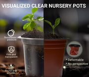 30 Pack Clear Nursery Plant Pots, 3.5/4/5 In with Drainage Holes, 20 Labels | High Transparency (Clear View of Root Growth), Variety Pack, Good Drainage, 20 Pack Easy-ID Plant Labels