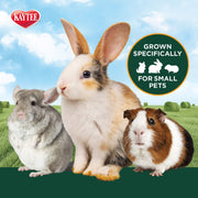 Kaytee All Natural Timothy Hay Plus Carrots for Guinea Pig & Rabbit | Digestive support. Guinea pig hay with carrots. Rabbit hay, long-strand, non GMO