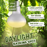 ReptiKing Reptile Heat Bulb Lamp, 2-Pack 100W Daylight Basking Spot, Bearded Dragon/Turtle/Lzard/Gecko Light Bulb, UVA Heat Lamp, Basking Light for Reptiles