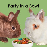 Kaytee Fiesta Rabbit Food, Supports Dental Health and Digestion | Fun at feeding time. Small animal food with bunny enrichment. Shapes, textures, fruits and veggies