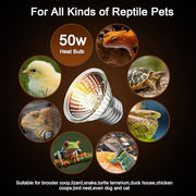 Lachesan 50W Uva Light Bulbs 4-Pack, Turtle Heat Lamp for Reptile | E26 Base Fit for Reptiles and Amphibian Tanks, Terrariums and Cages, Works with Various Lamp Fixtures