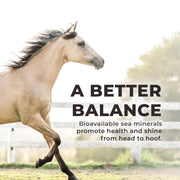 Daily Red Crushed Loose Minerals | Mineral Salt + Electrolyte Supplement for Horses (25LB Refill Bag)