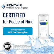 Pentair Pentek DGD-5005 Big Blue Whole House Sediment Filter | Spun Polypropylene Reduces Dirt, Sand and Rust with 3X Dirt-Holding Capacity; 10" x 4.5", 5 Micron