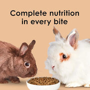 Kaytee Rabbit Food, Timothy Complete Rabbit Food Pellets, 9.5 Pounds | Bunny food for digestion support. Pelleted rabbit feed with timothy hay. High fiber, rabbit pellets, natural chewing