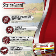 Horse Ivermectin Paste 1.87% – Apple Flavored Oral Horse Dewormer Syringe – 6.08g Tube Treats Horses Up to 1,250 lbs [Pack-1]