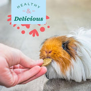 Oxbow Digestive Support Rabbit & Guinea Pig Supplement, Timothy Hay, 4.2 oz | Digestive Support, Timothy Hay, Rabbits, Guinea Pigs, Supplement, Chicory Root, Ginger Root, Chamomile, Healthy Digestion