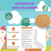 KAYPET Dried Mealworms 10LB Meal Worms for Chicken Ducks and Wild Birds | Pure Natural Non-GMO High Protein Chicken Feed